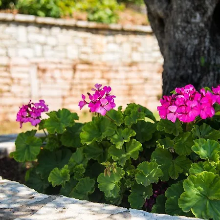 Krouzeri Nisaki (Corfu)