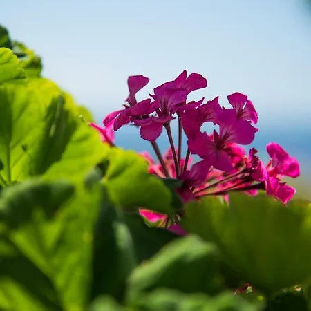 Krouzeri Aparthotel 4*